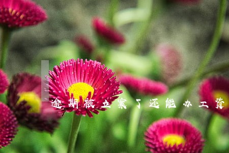 逾期被立案了还能办工资卡吗 逾期被立案了还能办工资卡吗