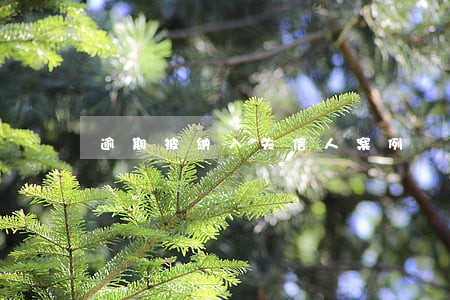 逾期被纳入失信人案例 逾期被纳入失信人案例