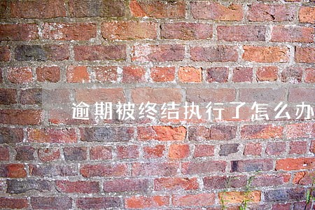 逾期被终结执行了怎么办 逾期被终结执行了怎么办