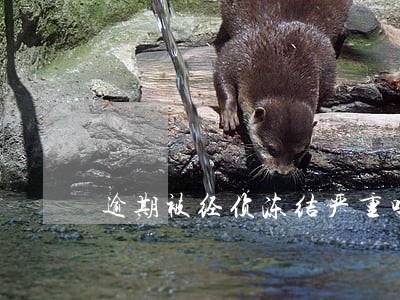 逾期被经侦冻结严重吗 逾期被经侦冻结严重吗