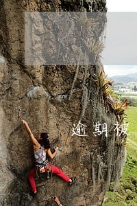 逾期被网络仲裁怎么查询 逾期被网络仲裁怎么查询