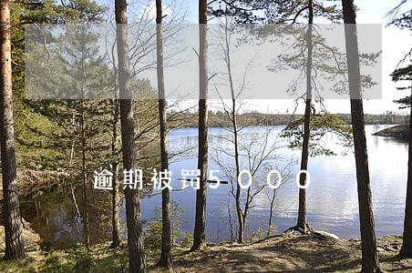 逾期被罚5000 逾期被罚5000
