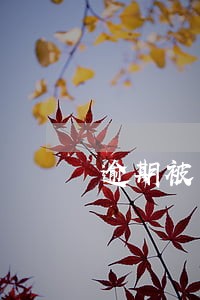 逾期被罚息后多长时间恢复正常 逾期被罚息后多长时间恢复正常