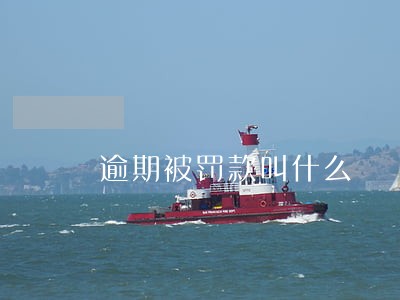 逾期被罚款叫什么 逾期被罚款叫什么