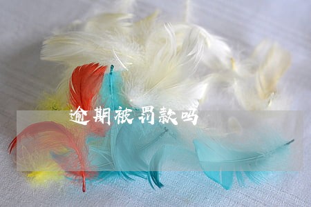 逾期被罚款吗 逾期被罚款吗