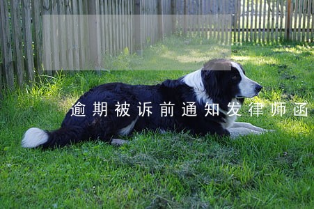 逾期被诉前通知发律师函是真的吗 逾期被诉前通知发律师函是真的吗