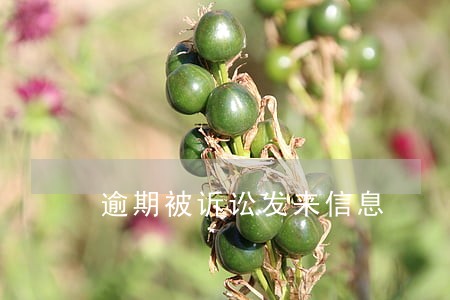 逾期被诉讼发来信息 逾期被诉讼发来信息