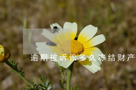 逾期被诉讼多久冻结财产 逾期被诉讼多久冻结财产