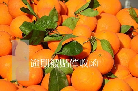 逾期被贴催收函 逾期被贴催收函