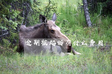 逾期被起诉有什么费用 逾期被起诉有什么费用