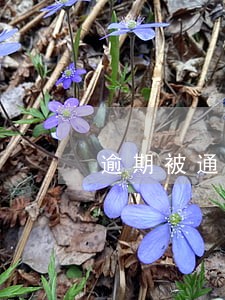 逾期被通知去综治办 逾期被通知去综治办
