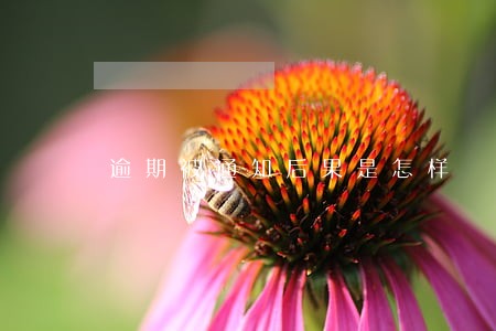 逾期被通知后果是怎样 逾期被通知后果是怎样