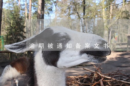 逾期被通知备案文书 逾期被通知备案文书