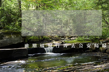 逾期被银行弄去公安局报案