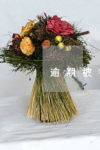 逾期被银行自动扣款可以要回吗 逾期被银行自动扣款可以要回吗
