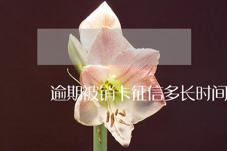 逾期被销卡征信多长时间能恢复