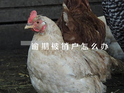 逾期被销户怎么办 逾期被销户怎么办