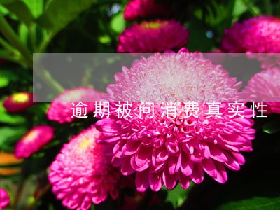 逾期被问消费真实性 逾期被问消费真实性