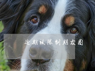 逾期被限制朋友圈 逾期被限制朋友圈