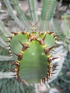 逾期被限制的短信