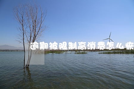 逾期被限制高消费怎么恢复