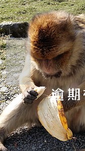 逾期被限制高消费金额是多少 逾期被限制高消费金额是多少