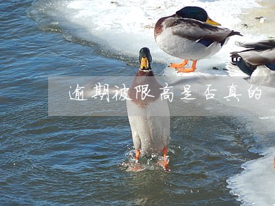逾期被限高是否真的 逾期被限高是否真的