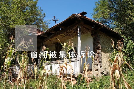 逾期被集体诉讼 逾期被集体诉讼