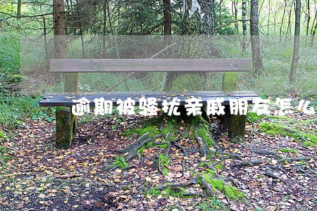 逾期被骚扰亲戚朋友怎么处理 逾期被骚扰亲戚朋友怎么处理