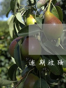 逾期被骚扰家人朋友怎么投诉