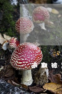 逾期被黑名单 逾期被黑名单