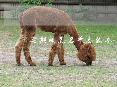 逾期被黑名单怎么办 逾期被黑名单怎么办