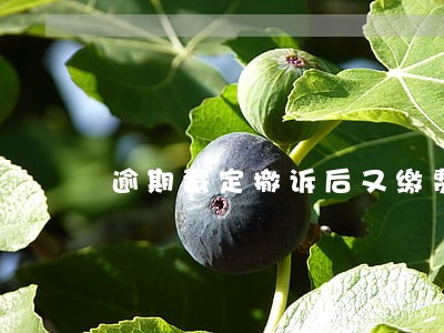 逾期裁定撤诉后又缴费 逾期裁定撤诉后又缴费