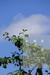 逾期装修追赔偿 逾期装修追赔偿