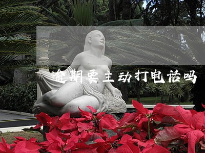 逾期要主动打电话吗