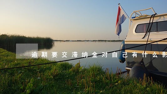 逾期要交滞纳金对自己有什么影响 逾期要交滞纳金对自己有什么影响