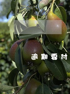 逾期要付百分之三十违约金 逾期要付百分之三十违约金