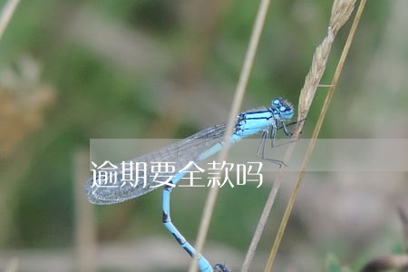 逾期要全款吗 逾期要全款吗