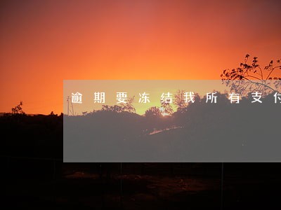 逾期要冻结我所有支付账户 逾期要冻结我所有支付账户