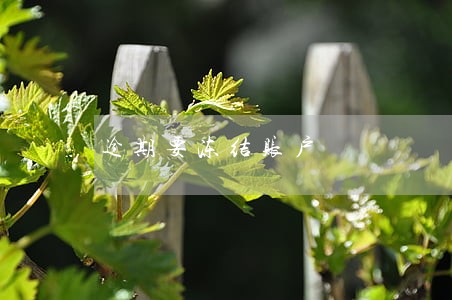 逾期要冻结账户 逾期要冻结账户