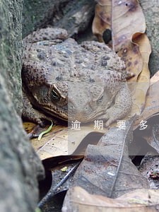 逾期要多久能消除 逾期要多久能消除
