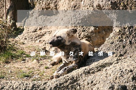 逾期要好久才能消除 逾期要好久才能消除