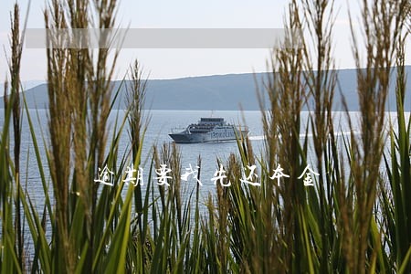 逾期要我先还本金 逾期要我先还本金