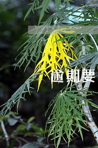 逾期要我签违约合同 逾期要我签违约合同
