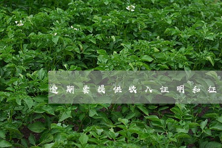 逾期要提供收入证明和征信报告 逾期要提供收入证明和征信报告