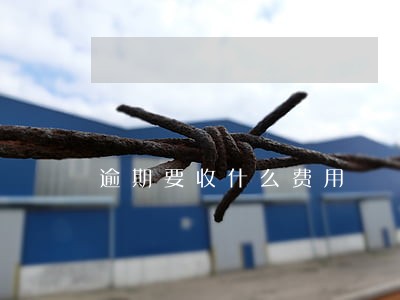 逾期要收什么费用