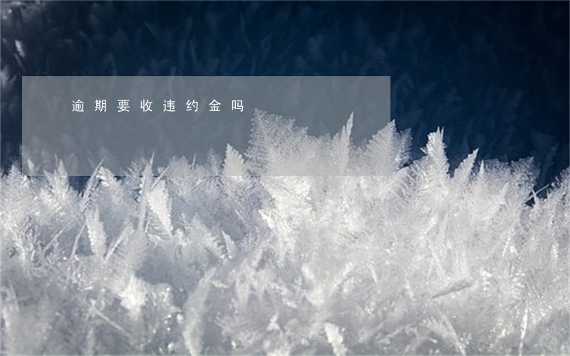 逾期要收违约金吗