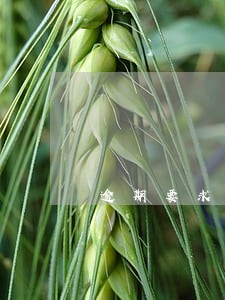 逾期要求一次性还合法吗