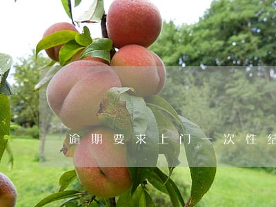 逾期要求上门一次性结清 逾期要求上门一次性结清