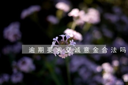 逾期要求交诚意金合法吗 逾期要求交诚意金合法吗